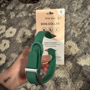 NWT Size Small Wild One Green Dog Collar